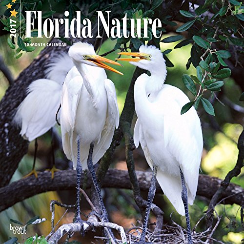 Florida Nature 2017 Square