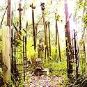 Past Life Regression