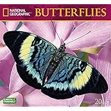 butterflies 2015