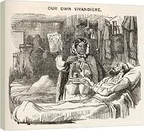 Box Canvas Print of MARY SEACOLE (PUNCH) from Mary Evans