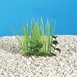 DWARF ACORUS - Realistic plastic aquarium plants DWARF ACORUS - Realistic plastic aquarium plants