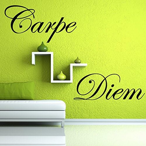 Haiqingor Jeep Grand Carpe Diem Wall Stickers Butterfly Birds Kids Room Art Decal Home Decor
