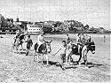 Prints of British Holidays - The Seaside - Portrush - 1963 from PA Photos