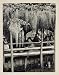 1930 Japanese Garden Glycinias Flowers Kamata Tokyo - Original Photogravure