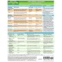 MemoCharts Pharmacology: Drug Therapy for Epilepsy (Review chart)