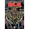 Les Tortues Ninja, Tome 3 : Les ombres du pass�