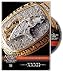 NFL Americas Game: Denver Broncos Super Bowl XXXII