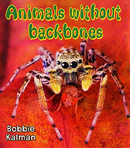 Animals Without Backbones (Big Science Ideas (Paperback))