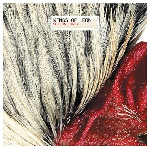 KINGS OF LEON - sex on fire - Zortam Music