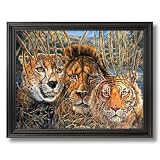 African Phases Cat Lion Tiger Animal Wildlife Home Decor Wall Picture Black Framed Art Print