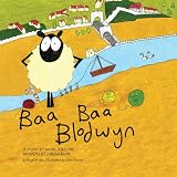 Baa baa Blodwyn : a story of wool and the drapers of Shrewsbury