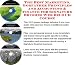 The Best Marketing, Godfather Principles and Accounting & Finance for Signature Brushes Web Biz 3 CD Course