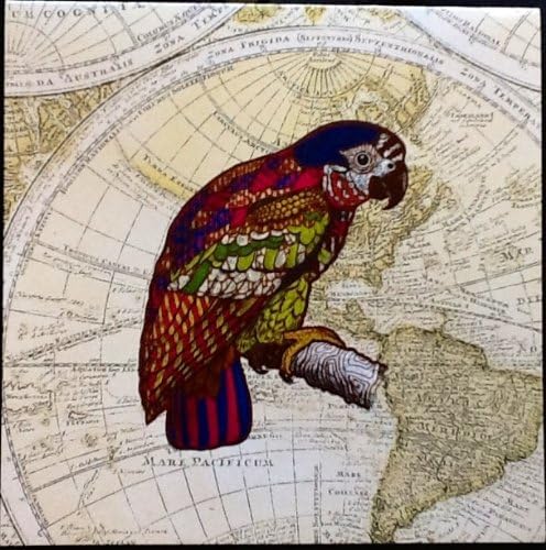 Global Treasures Build A Gift Items: Matching Notepads, Clips, Notecards 14 Choices! Exotic Bird, Tiger, Zebra, Butterfly, Maps, Old &amp; Modern Designs...UNIQUE! (Earth-Tone Exotic Bird Notecards)