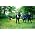 Thumbnail image of The Kooks