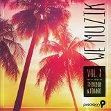 We Muzik Trinidad and Tobago (Carnival Soca 2012), Vol. 1