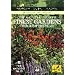 National Trust - Finest Gardens Throughout The Year [DVD]
