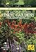 DVD : National Trust - Finest Gardens Throughout The Year