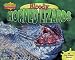 Books : Bloody Horned Lizards (Gross-Out Defenses)