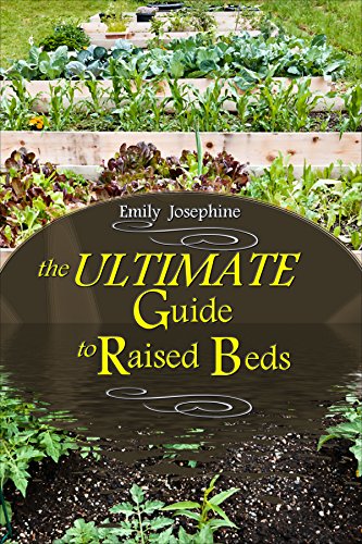 The Ultimate Guide To Raised Beds