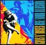 Use Your Illusion [Explicit]