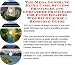 The Rich Man's Make An Extra Income, Marketing and Inner Game for Patio Heaters Web Businesses 3 CD Power Pack The Rich Man's Make An Extra Income, Marketing and Inner Game for Patio Heaters Web Businesses 3 CD Power Pack