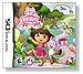 Dora the Explorer: Dora's Big Birthday Adventure