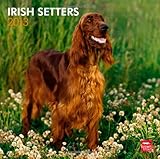Irish Setters 2013 - Original BrownTrout-Kalender
