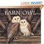 The Barn Owl (Animal Lives)