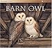 The Barn Owl (Animal Lives)