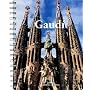Gaudi 2010 Diary (Diaries)
