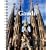 Gaudi 2010 Diary (Diaries)