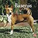Basenjis 2010 Square Wall