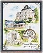 Brenau College Throw - 70 x 54 Blanket/Throw