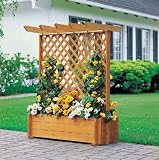 PROMEX Pflanzkasten Rankkasten mit Pergola