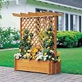 PROMEX Pflanzkasten Rankkasten mit Pergola