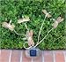 SohoDecor Decorative Garden Dragonflies Solar Lights , 5 LEDs version