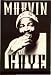 Marvin Gaye - Face Shot in Browns - Sticker / Decal