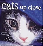 Cats Up Close (Tiny Folios)