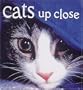 Cats Up Close (Tiny Folios)