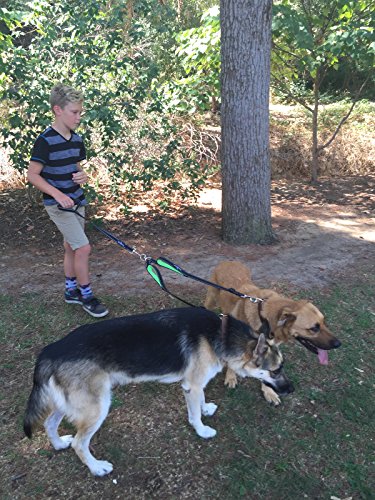 Vaun duffy double dog leash Clearance