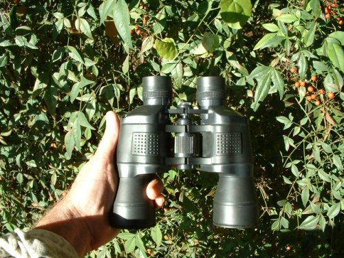 large image