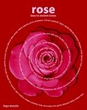 Rose: Love in Violent Times Image of Rose: Love in Violent Times