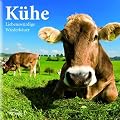 K�he: Liebensw�rdige Wiederk�uer