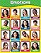 Carson Dellosa Emotions Chart (114055)