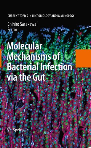 Molecular Mechanisms of Bacterial Infection via the Gut: 337 (Current Topics in Microbiology and Immunology)