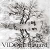 Bastard(�����)(DVD�t)