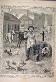 Rustic Apollo Child Farm Farmyard Pigs Calf Dadd 1885