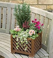 Large Square Outdoor Planter