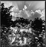  : Bruce Davidson: Journey of Consciousness