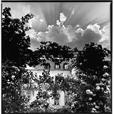 Bruce Davidson: Outside Inside